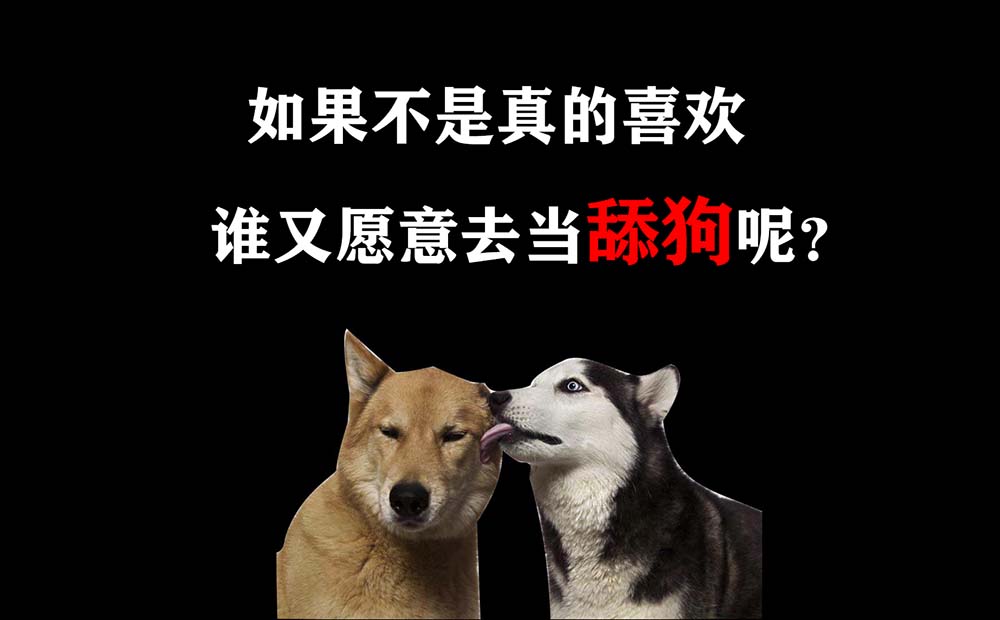舔狗