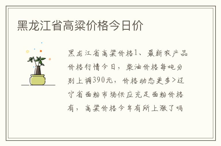 黑龙江省高粱价格今日价