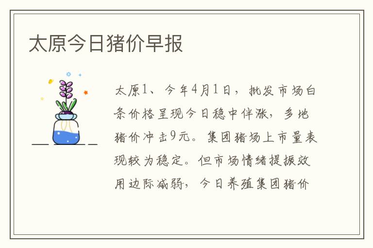 太原今日猪价早报