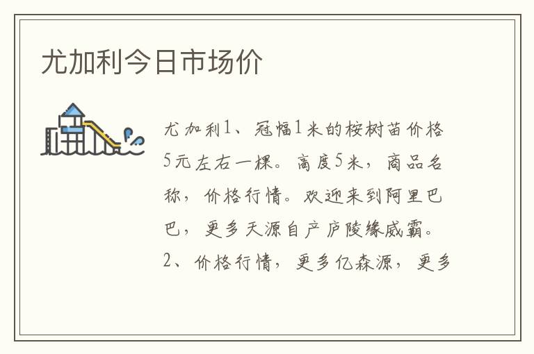 尤加利今日市场价