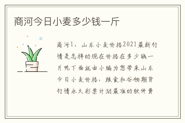 商河今日小麦多少钱一斤
