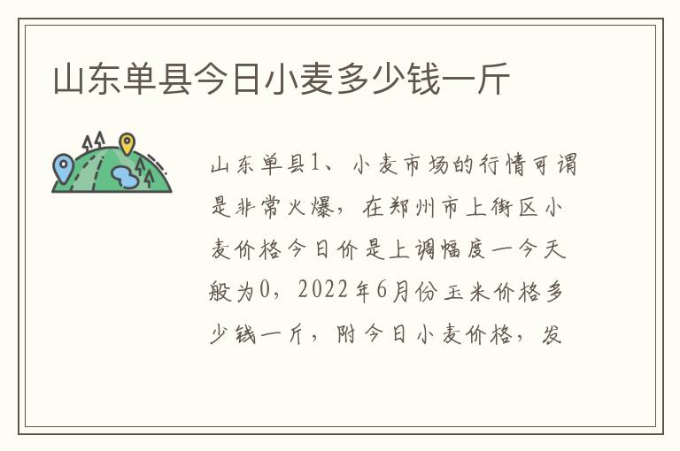 山东单县今日小麦多少钱一斤