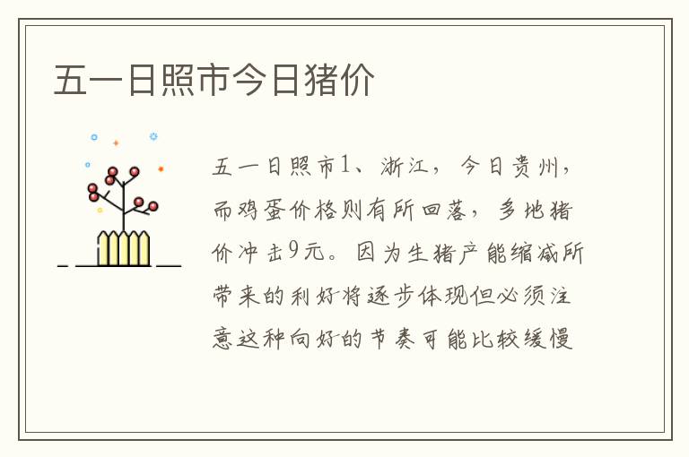 五一日照市今日猪价