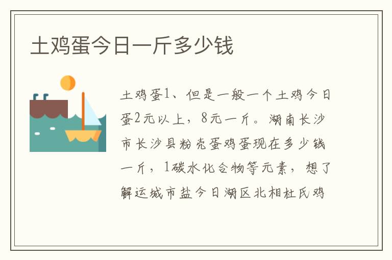 土鸡蛋今日一斤多少钱