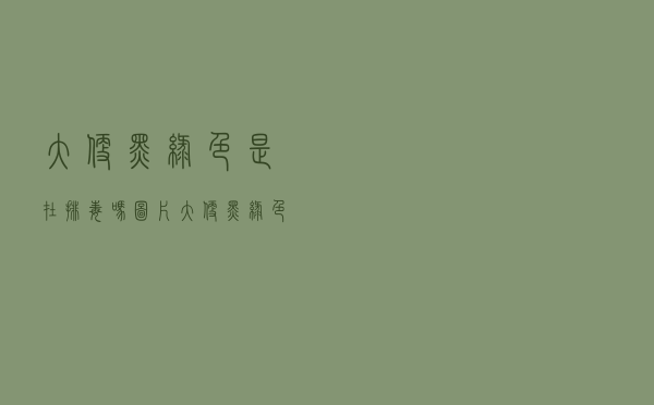 大便黑绿色是在排毒吗图片（大便黑绿色是在排毒吗）