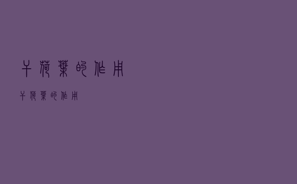干荷叶的作用（干荷叶的作用）