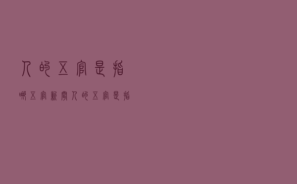人的五官是指哪五官 新闻（人的五官是指哪五官）