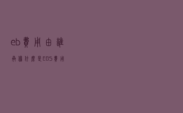 eb费用由谁承担（什么是EBS费用）