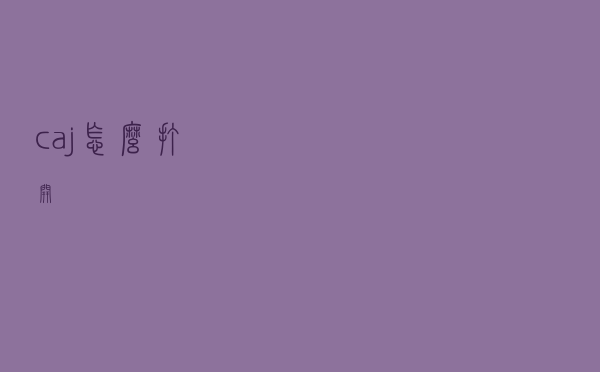 caj怎么打开
