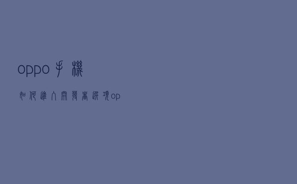 oppo手机如何进入开发者选项（oppo手机开发者选项在）