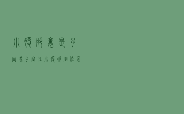 小腹那里是子宫吗（子宫在小腹哪个位置）