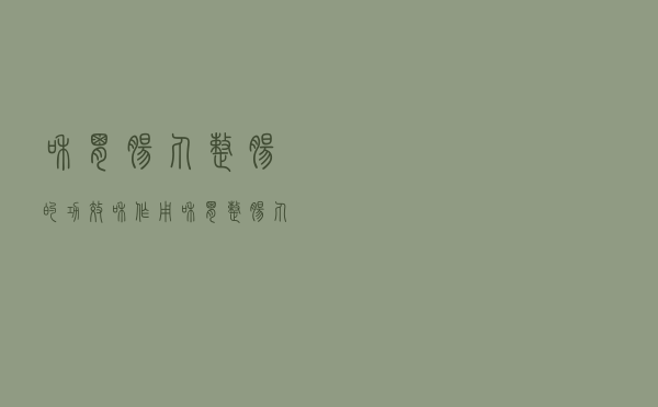 和胃肠丸整肠的功效和作用（和胃整肠丸的功效作用）