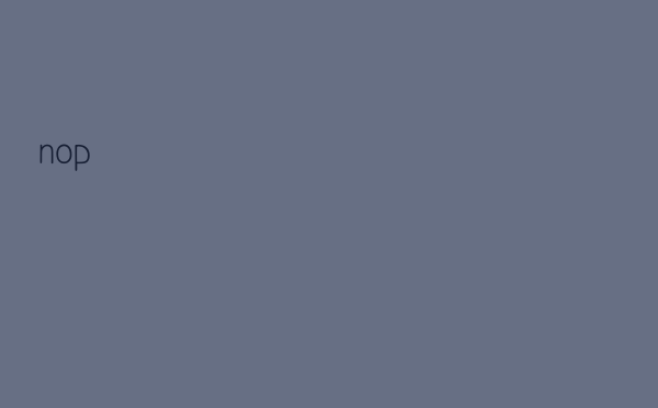 _nop_()