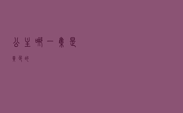 《公主》哪一集是黄色的？
