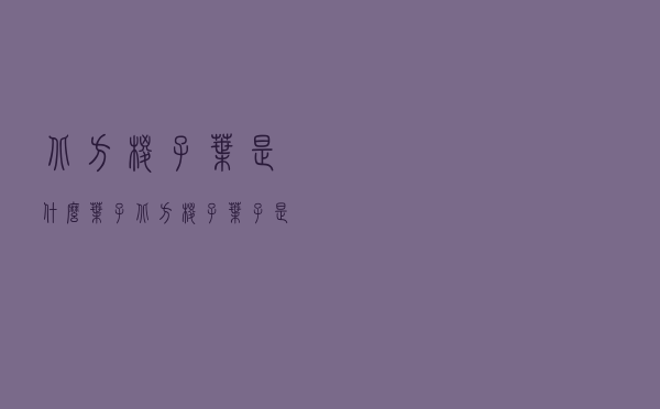 北方粽子叶是什么叶子（北方粽子叶子是什么叶子）