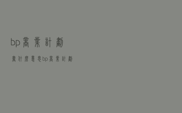 bp商业计划书什么意思（bp商业计划书）