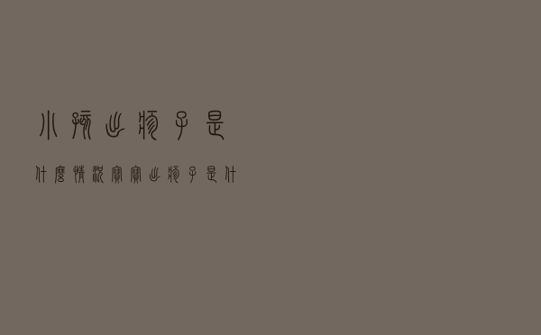 小孩出疹子是什么情况（宝宝出疹子是什么情况）
