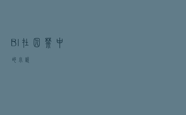 Bl在囚禁中的小说