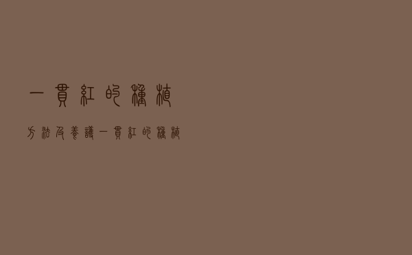 一串红的种植方法及养护（一串红的种植方法）
