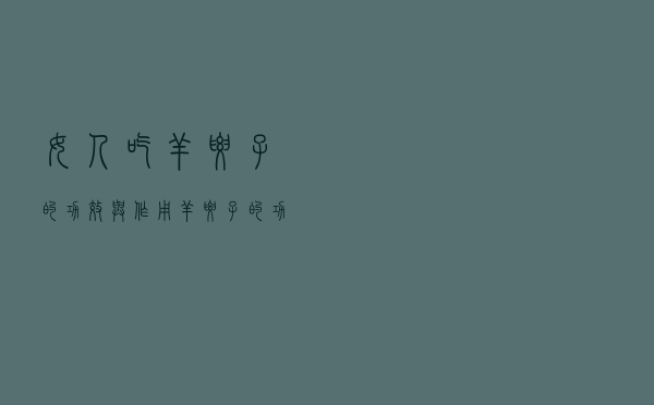 女人吃羊腰子的功效与作用（羊腰子的功效与作用）