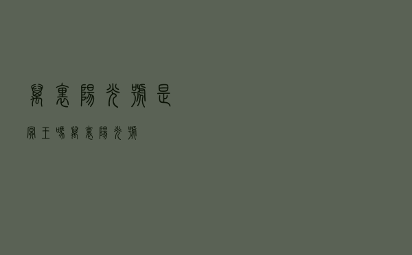 万里阳光号是冥王吗（万里阳光号）