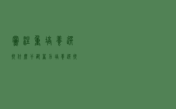 党注重培养选拔什么干部（着力培养选拔党和人民需要的好干部）