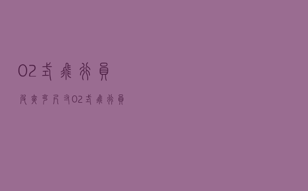 02式飞行员皮夹克尺寸（02式飞行员皮夹克）