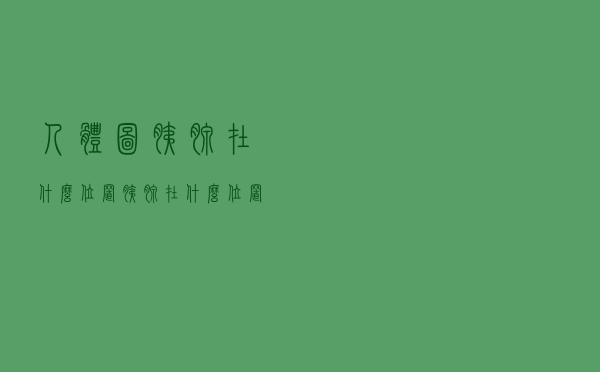 人体图胰腺在什么位置（胰腺在什么位置）
