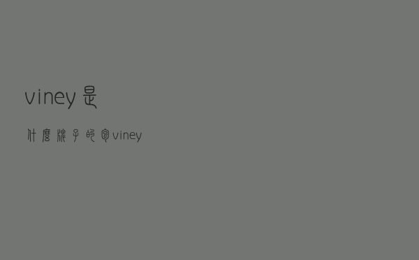 viney是什么牌子的包（viney女包是什么档次）