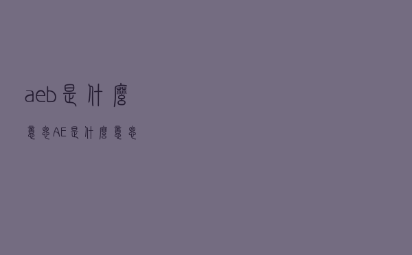 aeb是什么意思（AE是什么意思）