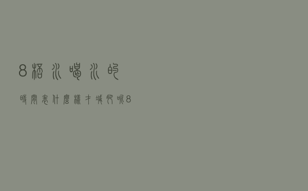 8杯水喝水的时间表什么样才减肥呢（8杯水喝水的时间表）