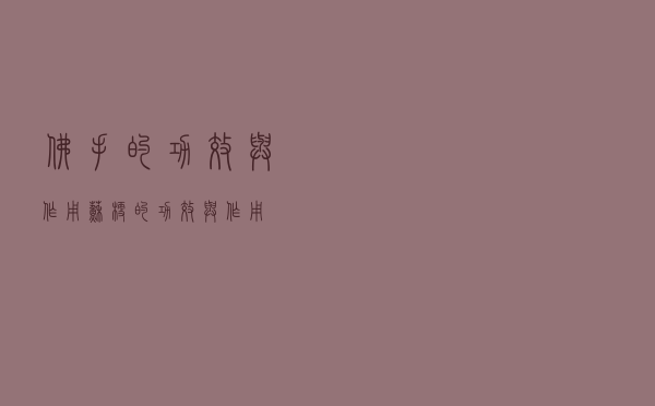 佛手的功效与作用（苏梗的功效与作用）