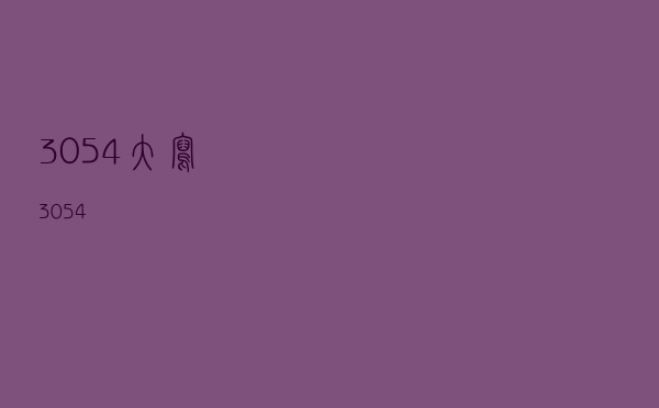 3054大写（3054）