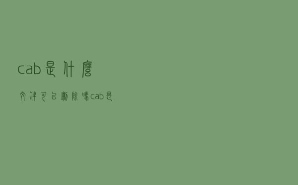 cab是什么文件可以删除吗（cab是什么文件）