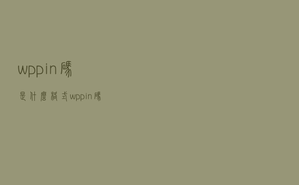 wp pin码是什么格式（wp pin码是什么）
