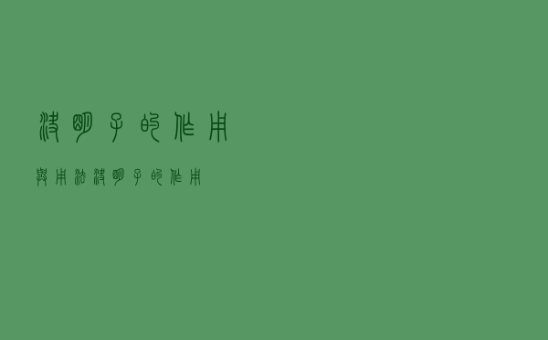 决明子的作用与用法（决明子的作用）