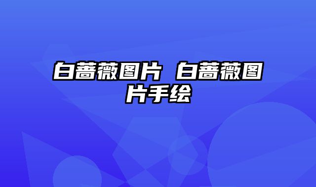 白蔷薇图片 白蔷薇图片手绘