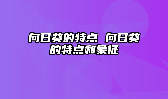 向日葵的特点 向日葵的特点和象征