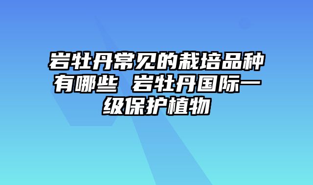 岩牡丹常见的栽培品种有哪些 岩牡丹国际一级保护植物