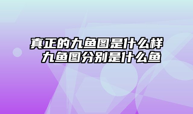 真正的九鱼图是什么样 九鱼图分别是什么鱼