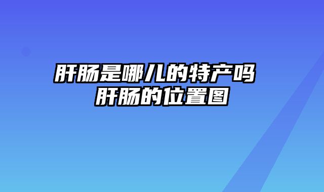 肝肠是哪儿的特产吗 肝肠的位置图