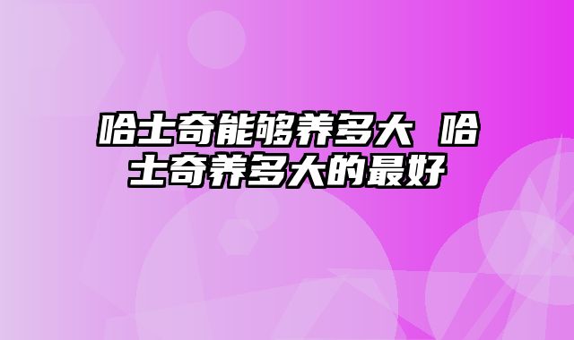 哈士奇能够养多大 哈士奇养多大的最好