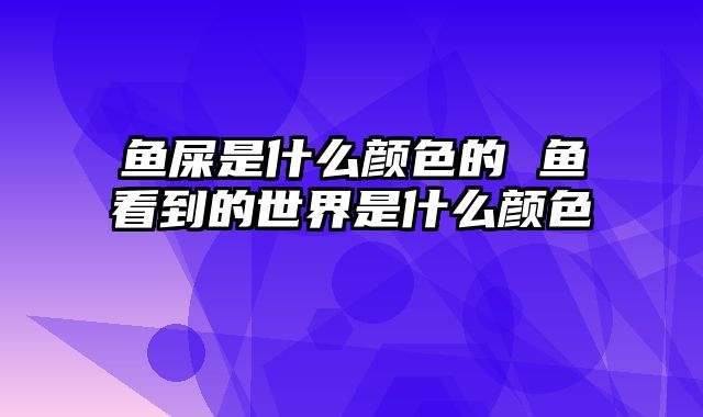 鱼屎是什么颜色的 鱼看到的世界是什么颜色