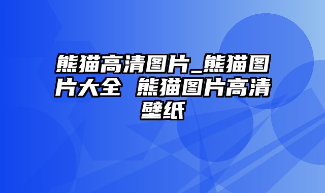 熊猫高清图片_熊猫图片大全 熊猫图片高清壁纸