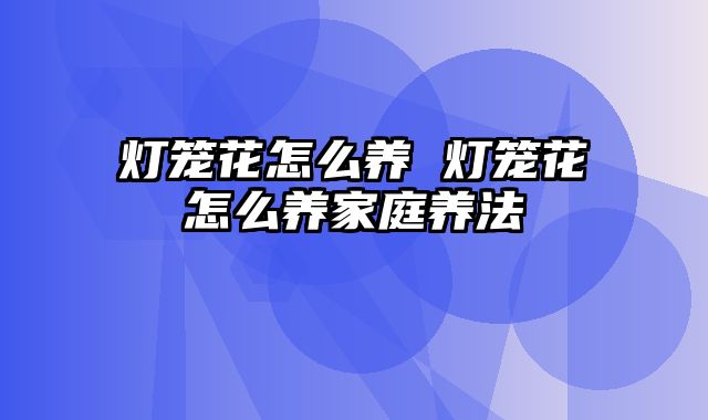 灯笼花怎么养 灯笼花怎么养家庭养法