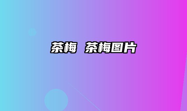 茶梅 茶梅图片