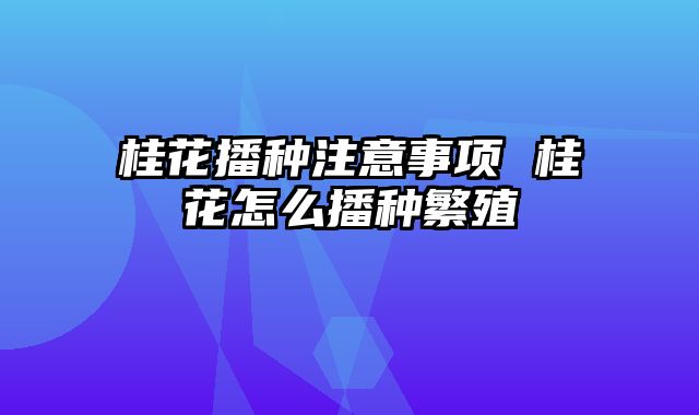 桂花播种注意事项 桂花怎么播种繁殖