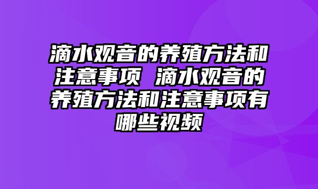 滴水观音的养殖方法和注意事项 滴水观音的养殖方法和注意事项有哪些视频_0