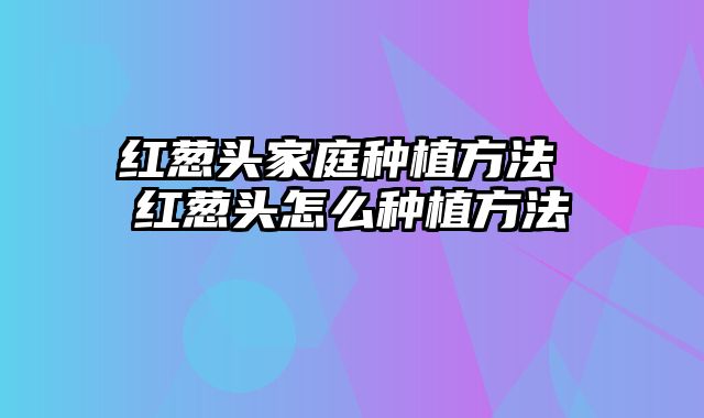 红葱头家庭种植方法 红葱头怎么种植方法