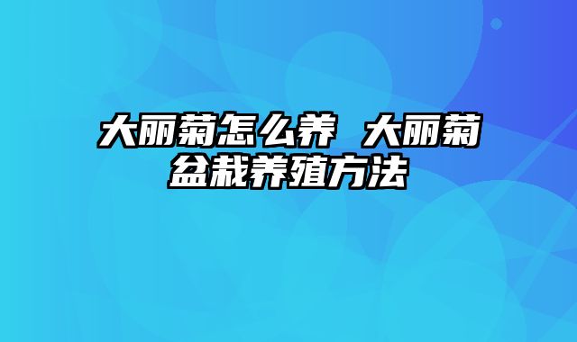 大丽菊怎么养 大丽菊盆栽养殖方法